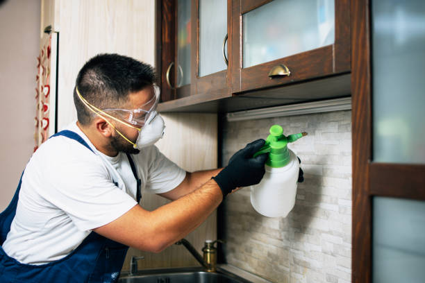 Best Pest Inspection Near Me  in Carney, MD