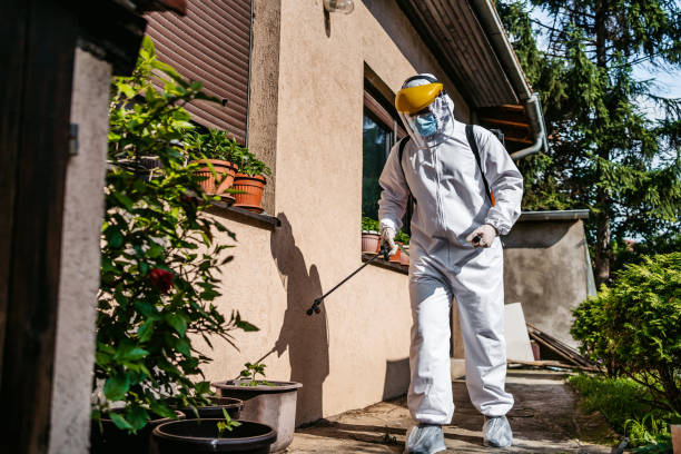 Best Insect Control  in Carney, MD