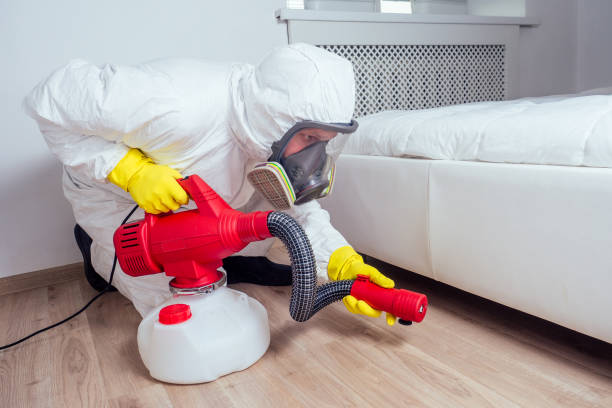 Best Pest Removal Services  in Carney, MD