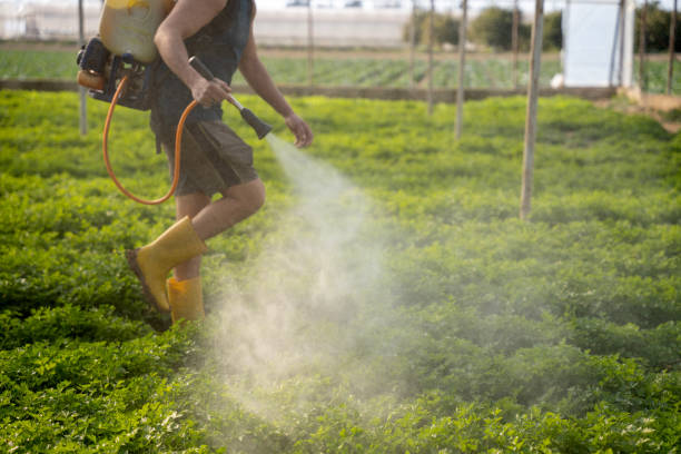 Best Pest Prevention Services  in Carney, MD