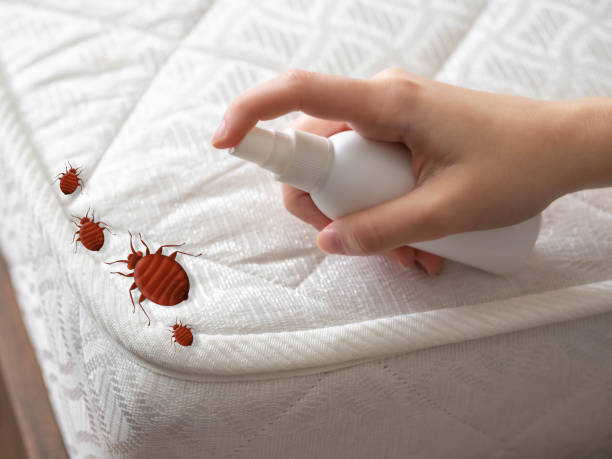 Best Pest Control Cost  in Carney, MD