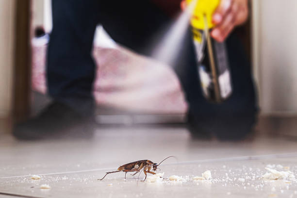 Best Cockroach Control Services  in Carney, MD