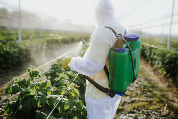 Best Insect Control  in Carney, MD